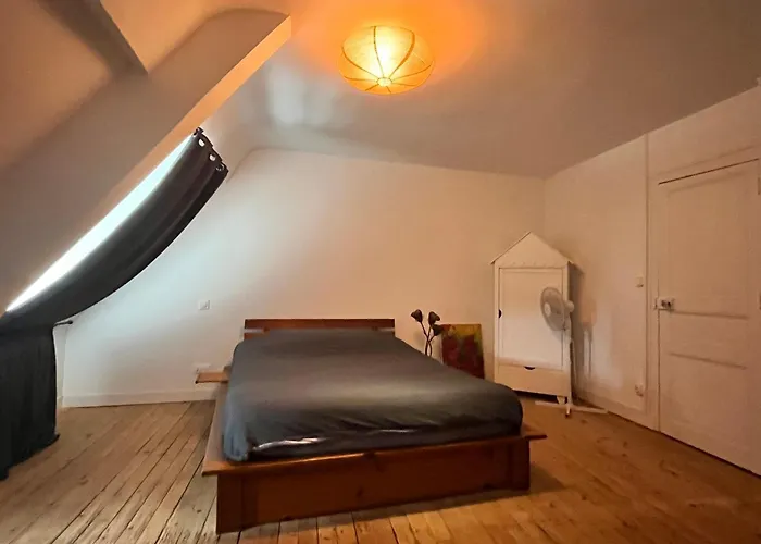 Des Halles - D'hotes 3* 萨韦奈