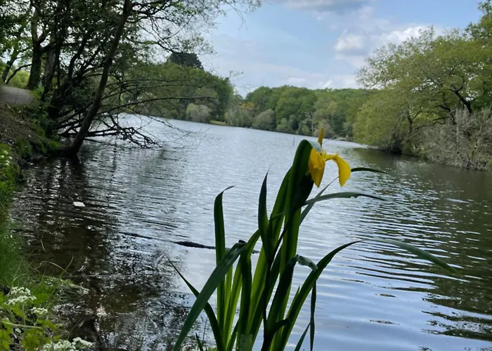 Des Halles - D'hotes 3*
