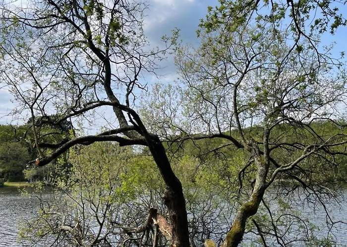 Des Halles - D'hotes 3*